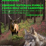 volantino serata naturalistica (2)